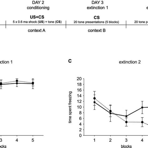 Fear Conditioning Behavioral Results During The Extinction Recall Download Scientific Diagram