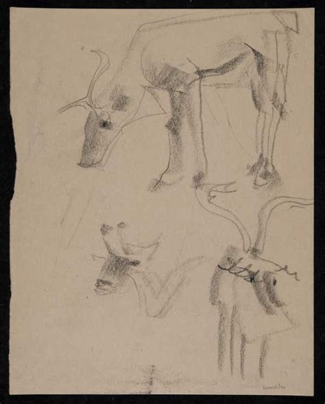 Sketch Of A Female Nude And Three Sketches Of Deer Felicia Browne