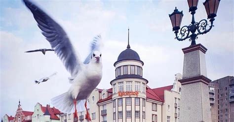 Рыбная деревня. Калининград | Пикабу