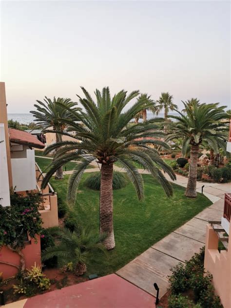 Gartenanlage Anissa Beach Village Anissaras Holidaycheck Kreta