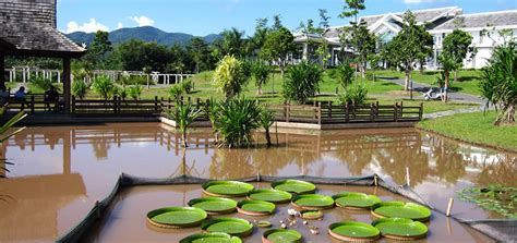 River Cruise Itinerary for The Mekong to China | Pandaw.com