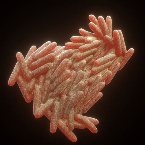 mycobacterium tuberculosis model turbosquid