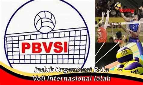 Mengenal Induk Organisasi Bola Voli Internasional Peran Penting Fivb