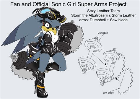 Sonicsuperarmsproject Stormthealbatrossfemale By Skyshek On Deviantart