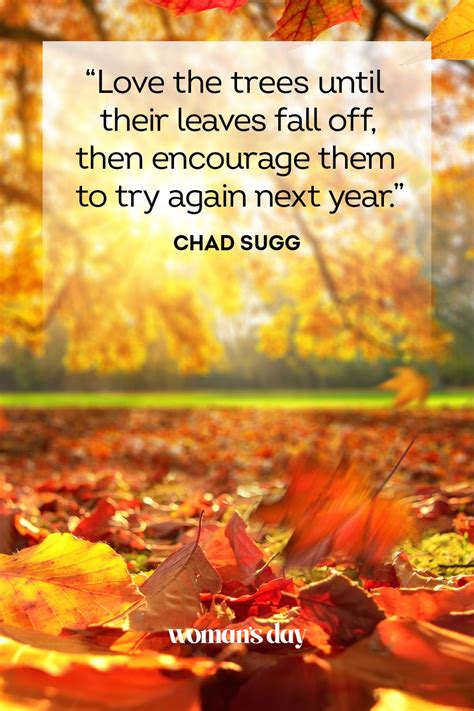 55 Best Fall Quotes for 2022 - Beautiful Sayings About Autumn