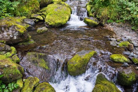 Cascading Down A Small Mountain Stream The Water Runs Over Basalt