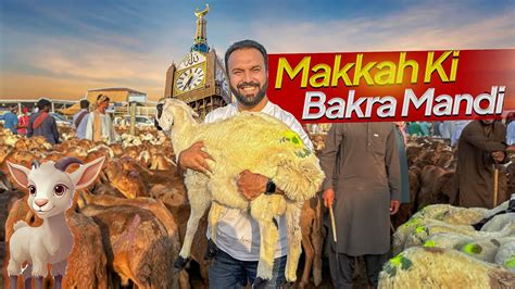 Bakra Mandi In Makkah Hajj Eid Al Adha In Makkah Saudi Arabia