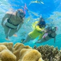 Great Barrier Reef Ocean Safari Website