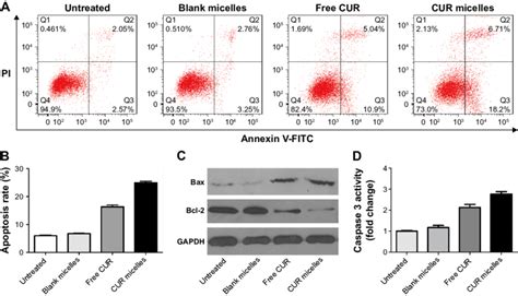 Cur Micelles Induced A549 Cells Apoptosis And Caspase 3 Activation