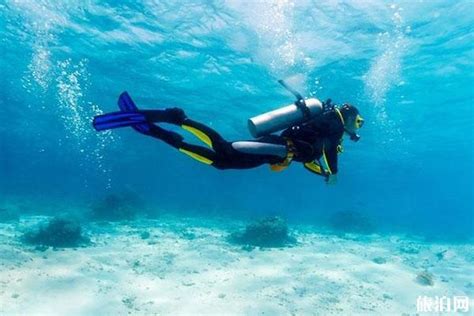 水肺潜水和自由潜水的区别 水肺潜水最大深度 旅泊网