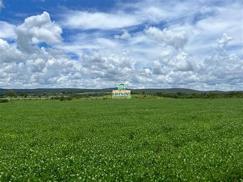 Mato Grosso Fazendas 1023 Hectares à venda na Região de Paranatinga