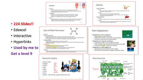 Pin On Gcse Biology Revision