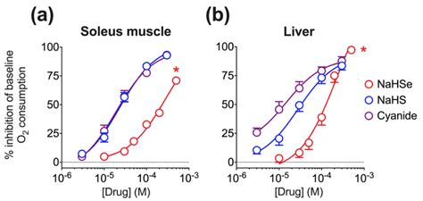 Ex Vivo Oxygen Consumption In A Rat Soleus Muscle And B Liver