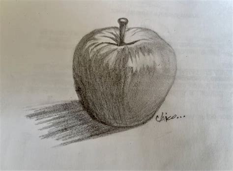 A Pencil Drawing Of An Apple On Paper