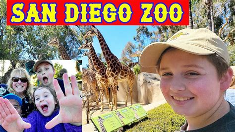 So Much Fun At The San Diego Zoo Youtube