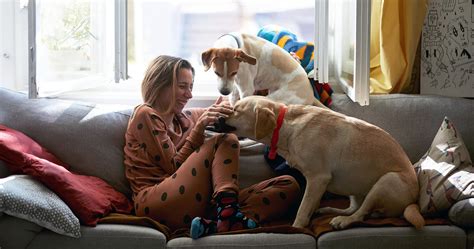 Adopting A Bonded Pair of Dogs: Pros and Cons to Consider