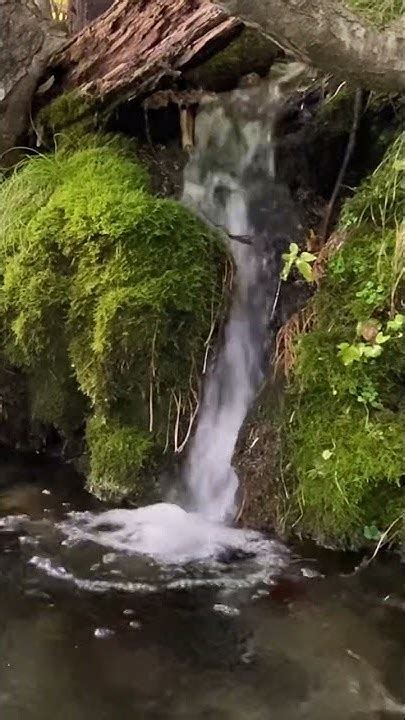 千歳川の湧水の滝asmr滝の音水の音癒し瞑想勉強眠りwater Fallwater Soundhealing