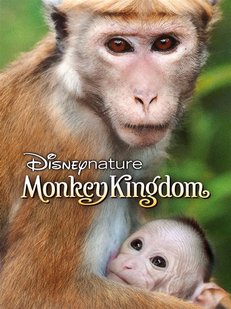 Prime Video Disneynature Monkey Kingdom