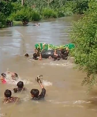 Tak Ada Jembatan Warga Pelosok Pesisir Barat Lampung Nyaris Hanyut