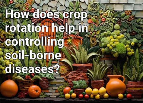 How Does Crop Rotation Help In Controlling Soil Borne Diseases