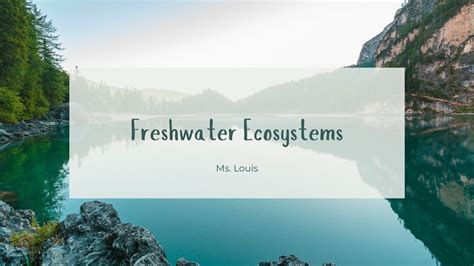 Freshwater Ecosystems - YouTube