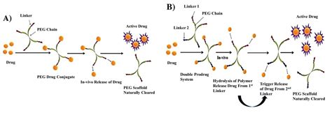 PEGylation of Small Molecule Drugs - DocCheck