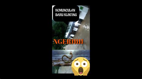 Sragen Ular Baru Klinting Ngeriiii Sragen Sragenan Sragenkita