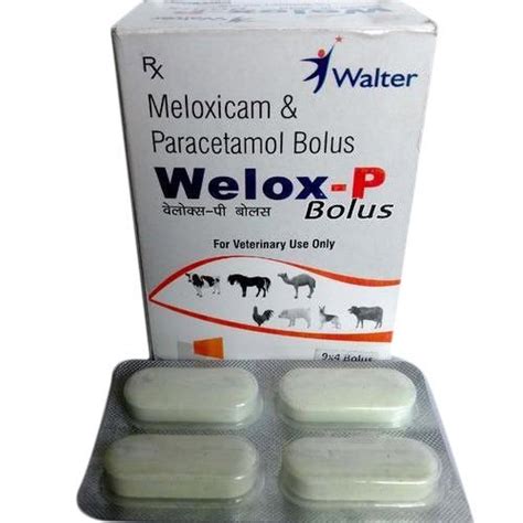 Tablet Meloxicam And Paracetamol Bolus For Clinical Packaging Type