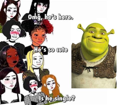 Shrek Or Ned Leeds Ceo Of Sex Rmemes