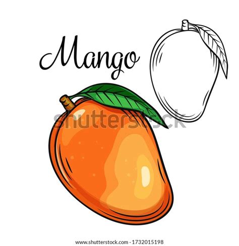 4,181 Mango Drawing Color Stock Vectors, Images & Vector Art | Shutterstock