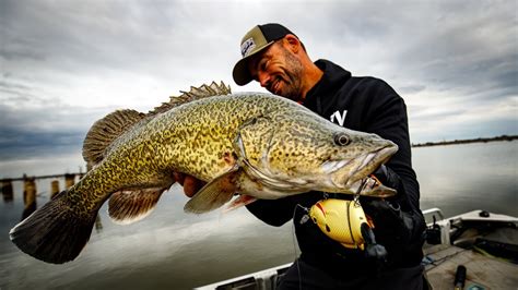 Murray Cod Fishing Lake Mulwala On The Drawdown Youtube