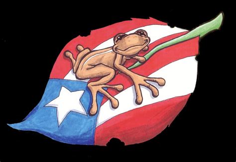 Puerto Rican Coqui Frog Clip Art – Cliparts