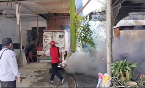 Berantas Nyamuk Penyebab Dbd Dinkes Kendari Lakukan Fogging Di