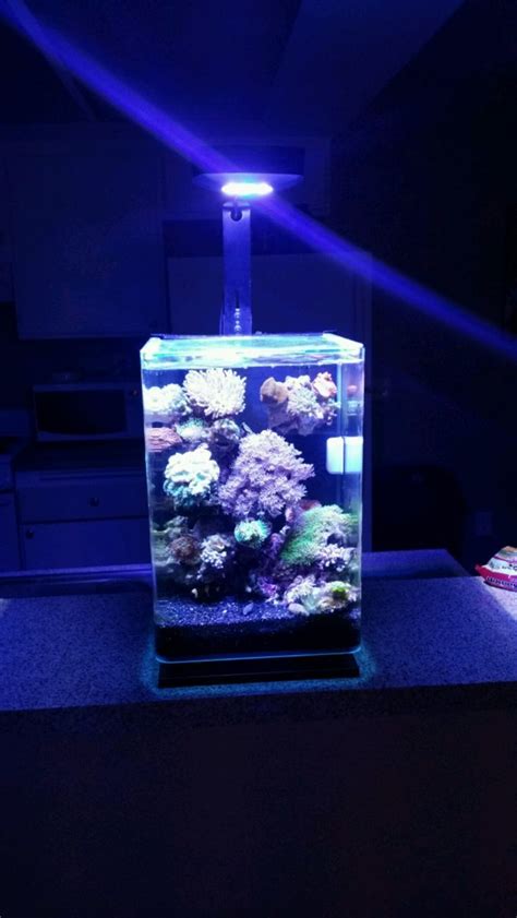 Gallon Nano Tank Shots Nano Reef Community