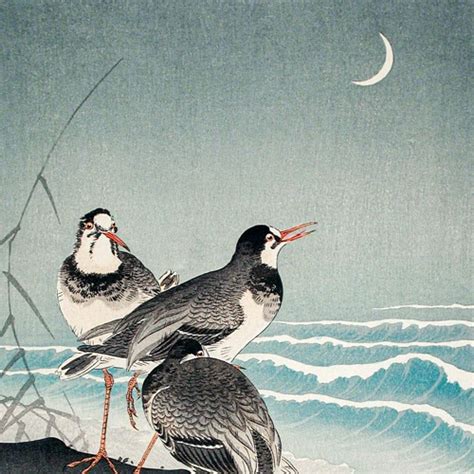 Stream Episode Murder Of Crows Part 1 By Zuzanna Żak Podcast Listen