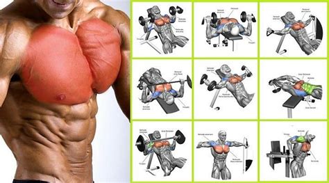 The Chest Workout For Men Who Want To Build A Bigger Stronger And Wider