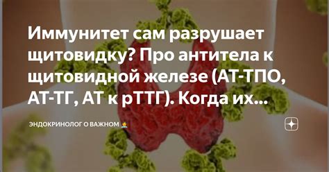 Иммунитет сам разрушает щитовидку? Про антитела к щитовидной железе (АТ ...