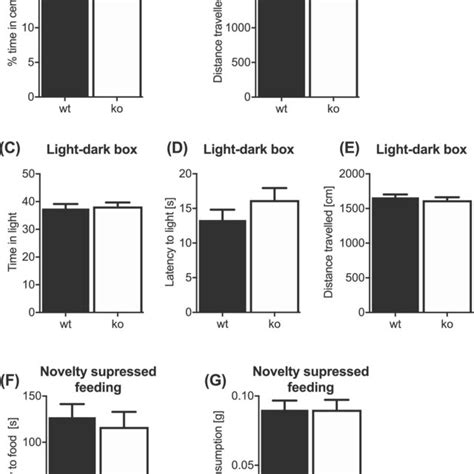 No Difference In Anxietylike Behavior Or Exploratory Activity In