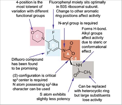 Structure Activity Relationship Of Linezolid Download Scientific Diagram