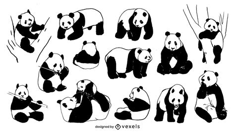 Panda Hand Drawn Collection Vector Download