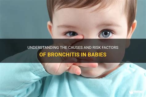 Understanding The Causes And Risk Factors Of Bronchitis In Babies Medshun