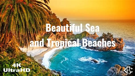 Tropical Beach Vibes Minutes Relaxing Music Nature Sounds Bar