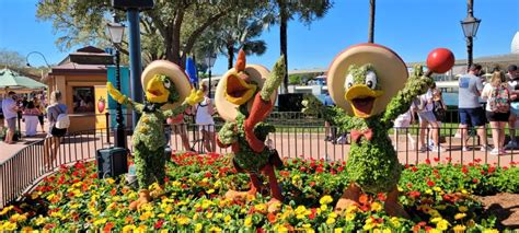 Full List Of Topiaries And Global Gardens Coming To Epcot