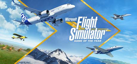 Microsoft Flight Simulator Game Of The Year Edition Configuration