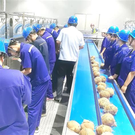 Experienced Supplier Of Coconut Milk Processing Plantcoconut