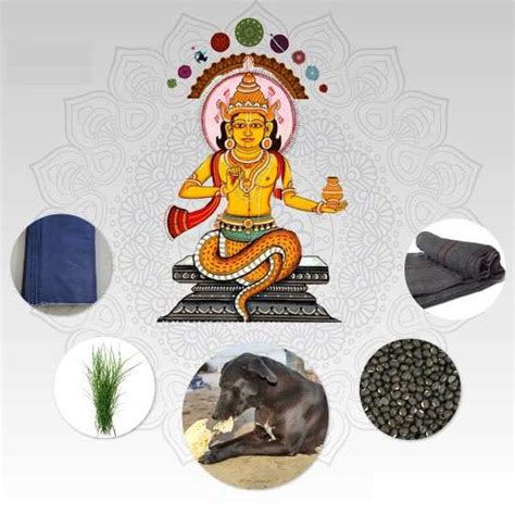 Remedies For Rahu Graha Panditjidekhocom