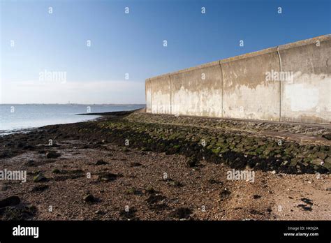 Sea Wall And Beach On Canvey Island Essex England Stock Photo Alamy