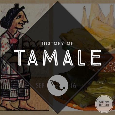 Unveiling the Truth: TAMALE - The Presence of Tamil Influence