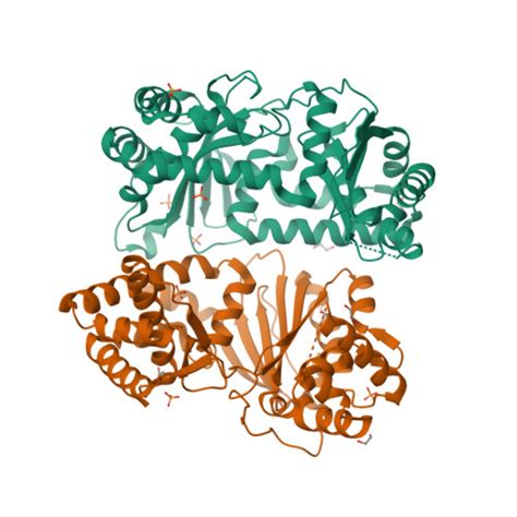 RCSB PDB 7Y8V Crystal Structure Of AlbEF Homolog Mutant AlbF H54A