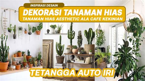 Dekorasi Tanaman Hias Dalam Ruangan Tanaman Indoor Favorit Dekorasi